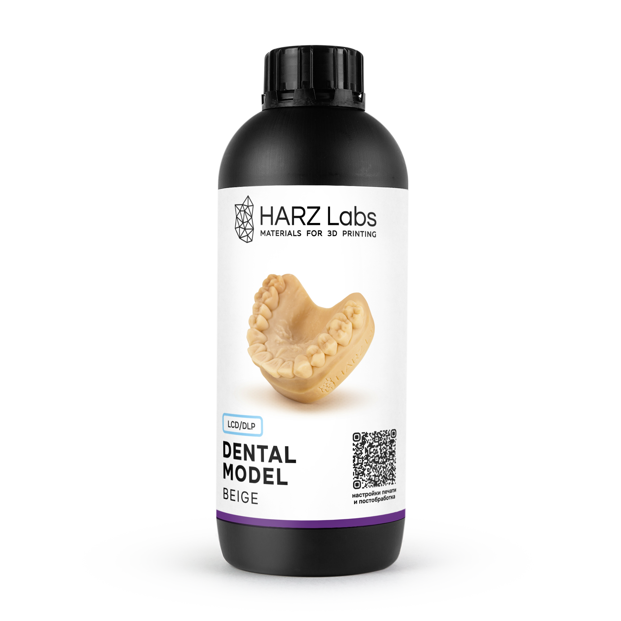 Dental Model Beige